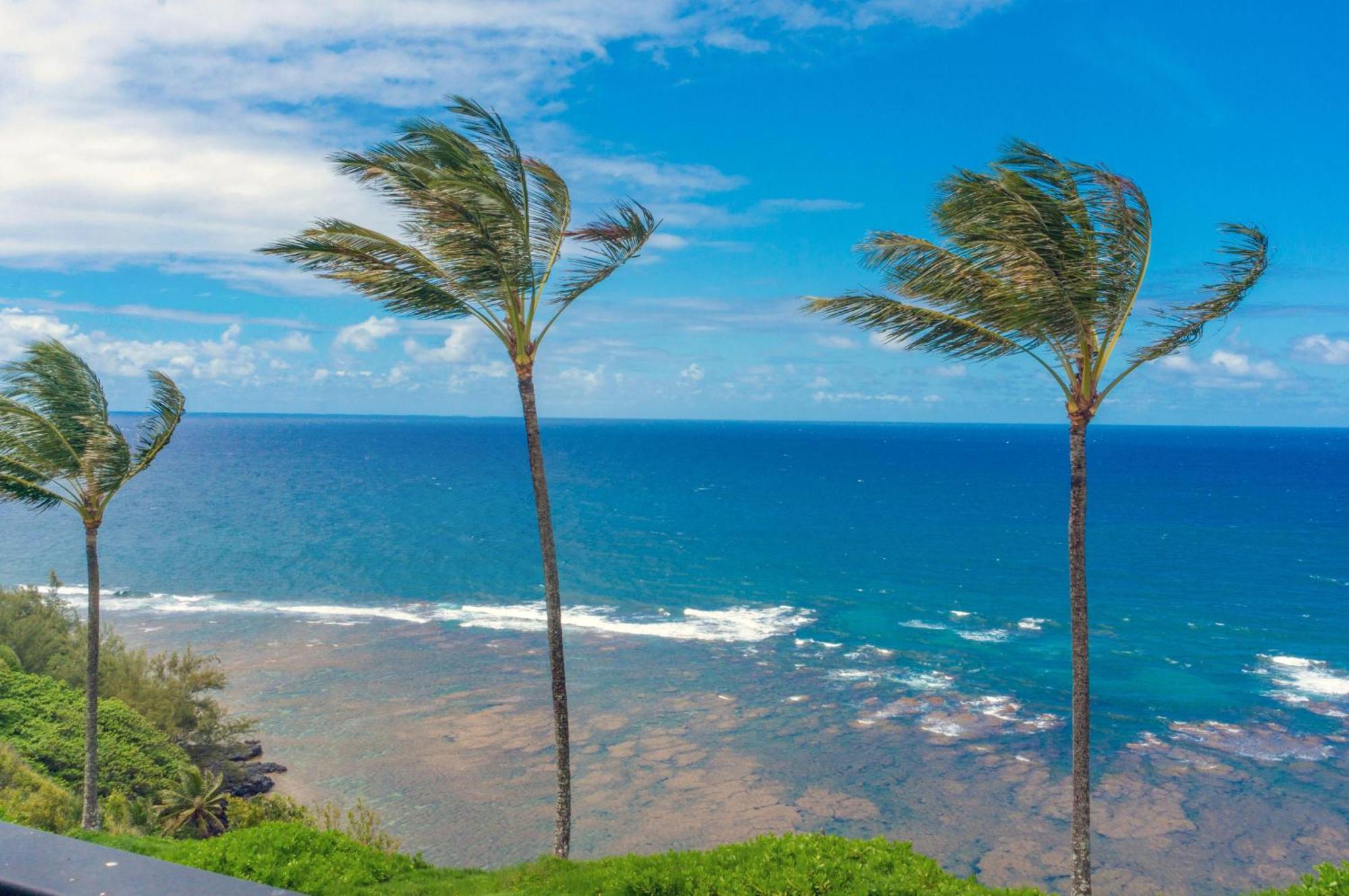 Sealodge C7 Princeville Exterior foto